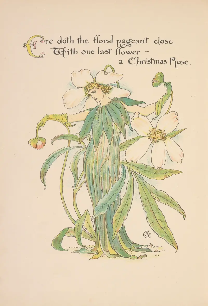 Floras fest; En maskerad av blommor, plansch 36 av Walter Crane