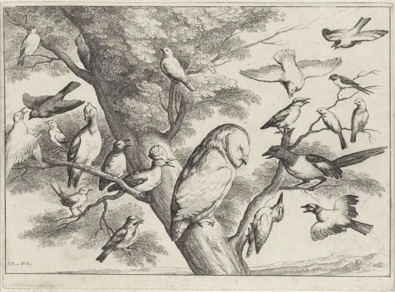 A Barn owl in a tree is surrounded and mobbed by birds of many sorts av Wenceslaus Hollar
