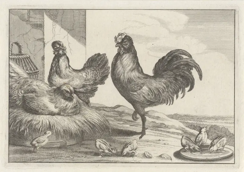 Tupp, höna och sex kycklingar på en gård av Wenceslaus Hollar