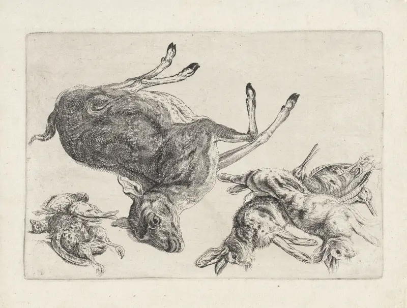 Toter Hirsch auf seiner rechten Seite liegend, zwei tote Hasen und zwei Bekassinen rechts, drei tote Vögel links von Wenceslaus Hollar