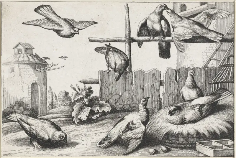 Åtta duvor på en gård nära ett duvslag; ett duvslag i bakgrunden av Wenceslaus Hollar