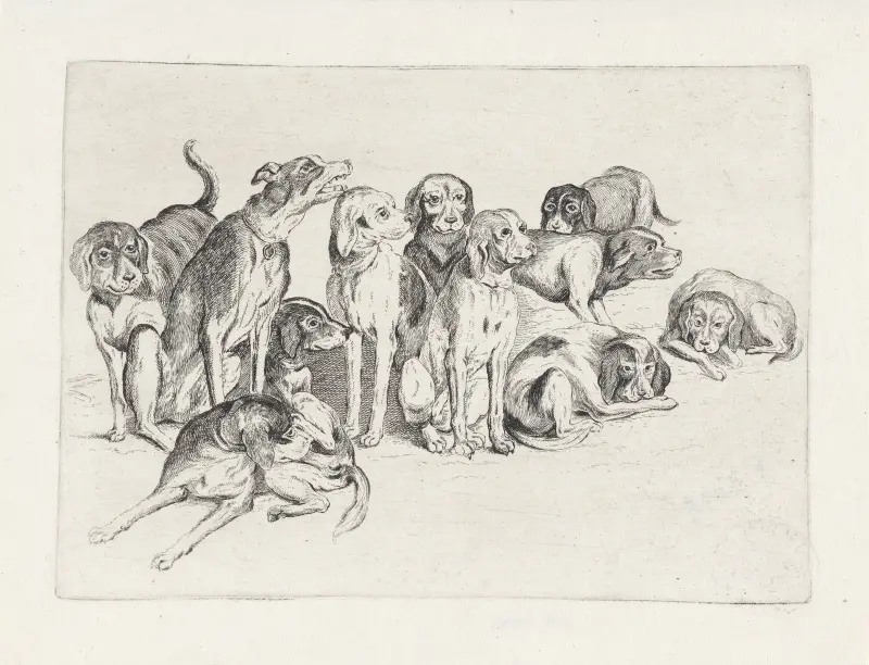 Eleven Hounds av Wenceslaus Hollar