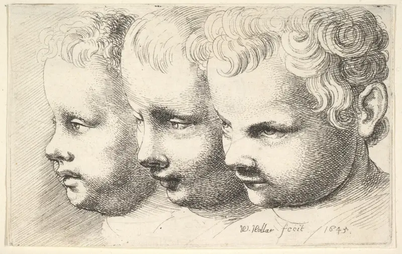 Three children’s heads av Wenceslaus Hollar