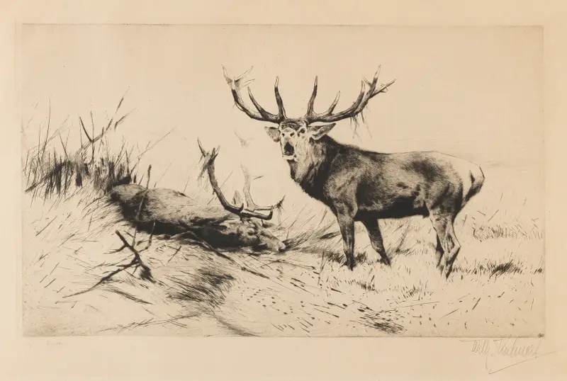 Besiegt (Rothirsche)., 1920 – nr 1 av Wilhelm Kuhnert