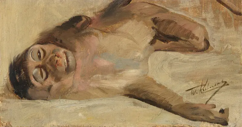 Schweinsaffe av Wilhelm Kuhnert
