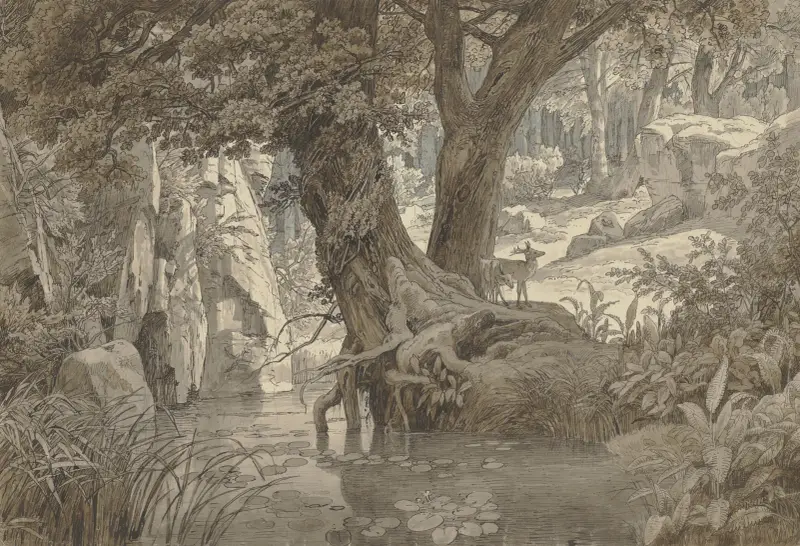 Forest landscape av Johann Wilhelm Schirmer