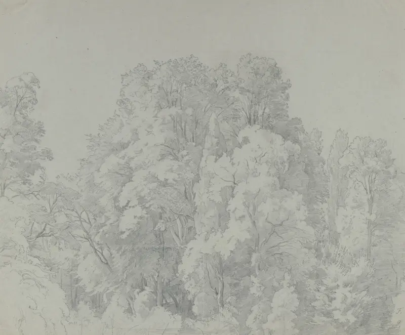Forest section av Johann Wilhelm Schirmer