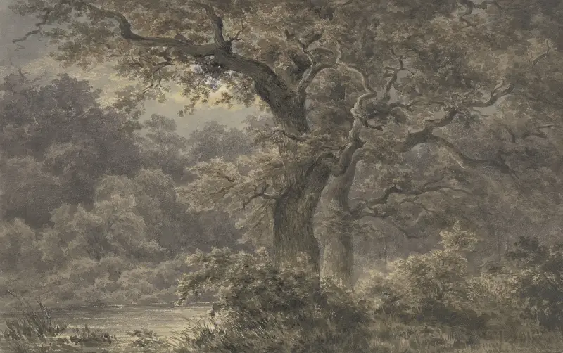 Oak trees in the forest av Johann Wilhelm Schirmer