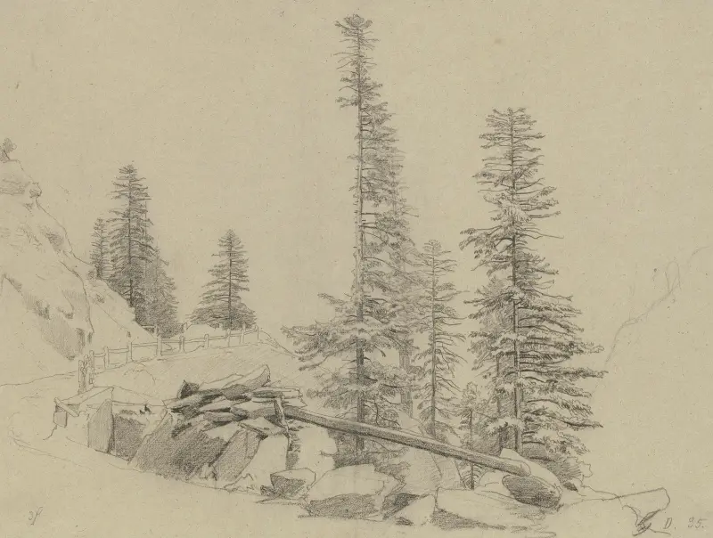 Grankvistar vid Via Mala av Johann Wilhelm Schirmer