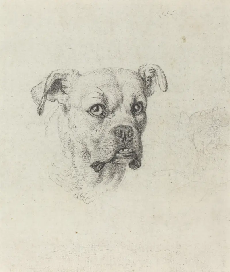 Bokser, Johann Heinrich Wilhelm Tischbein