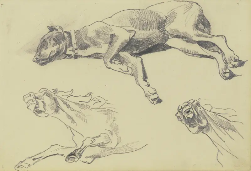 Studienblatt; Die Dogge Cäsar, auf der Seite liegend nach links, schlafend; darunter zwei Pferdestudien in starker Untersicht von Wilhelm Trübner