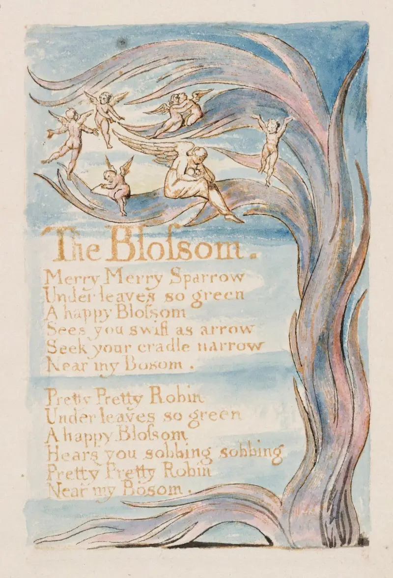 Pl. 17 – The Blossom av William Blake