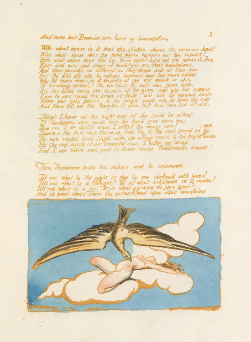 Wizje córek Albionu, pl. 5, William Blake