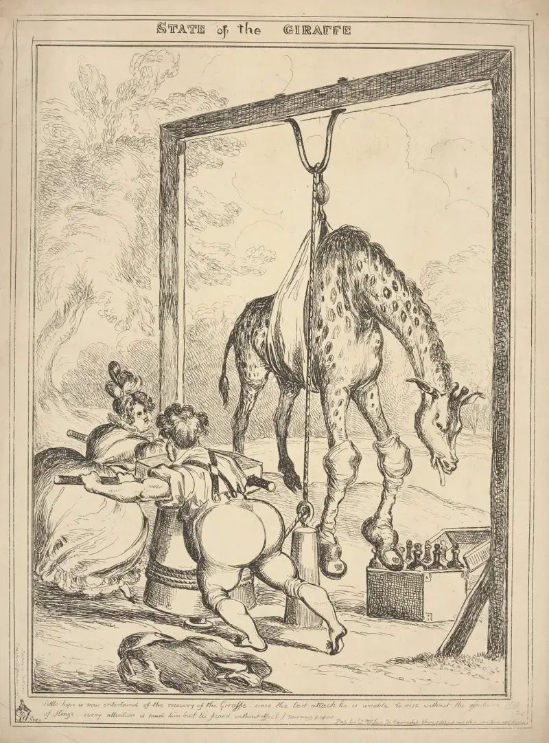 State of the giraffe. av William Heath