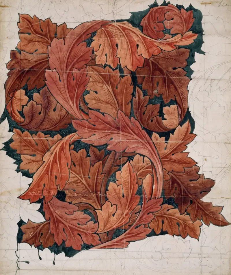 Acanthus, William Morris