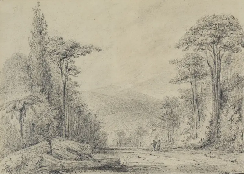 First view of the Rimutaka Range av William Swainson