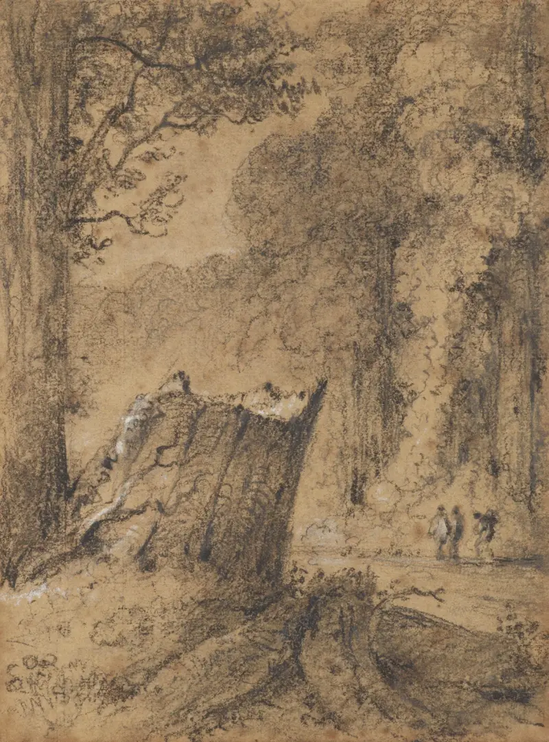 Väg genom Huttskogen, Nya Zeeland av William Swainson