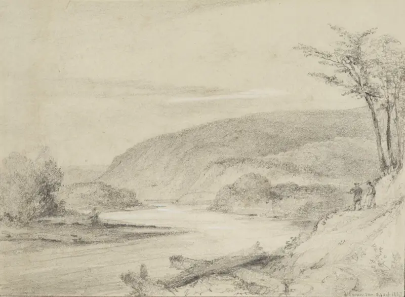 The second gorge from the end of the first, Hutt Road av William Swainson