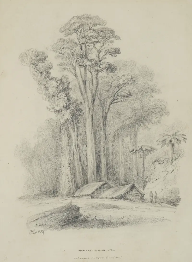 Wirinaki Station av William Swainson