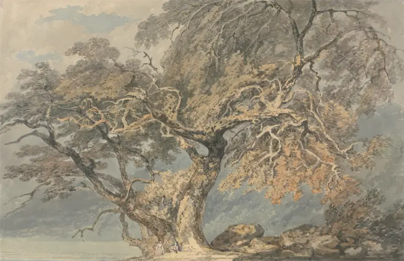 A Great Tree av Joseph Mallord William Turner