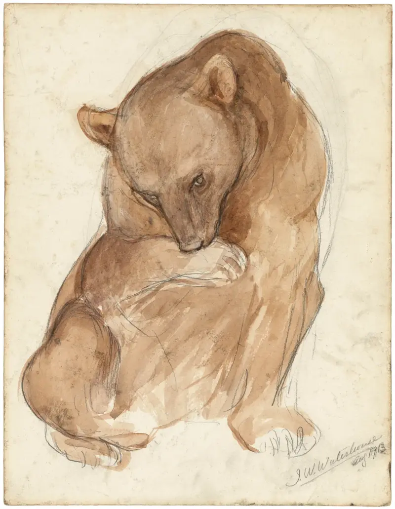 A sketch of a bear av John William Waterhouse