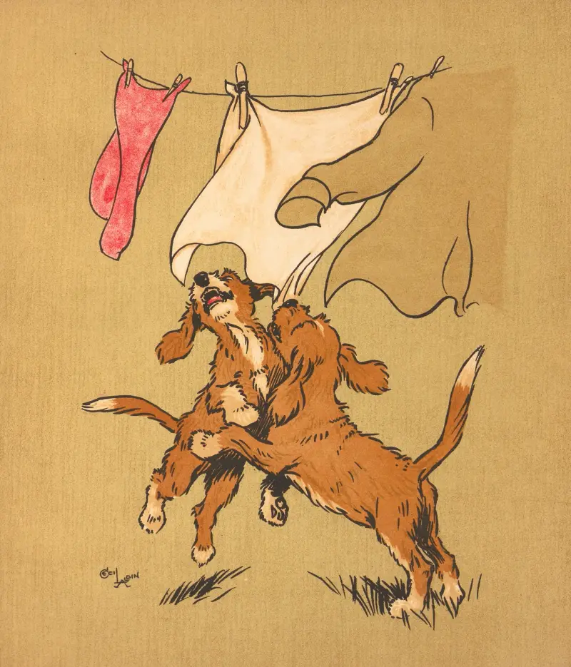 Praní, Cecil Charles Windsor Aldin