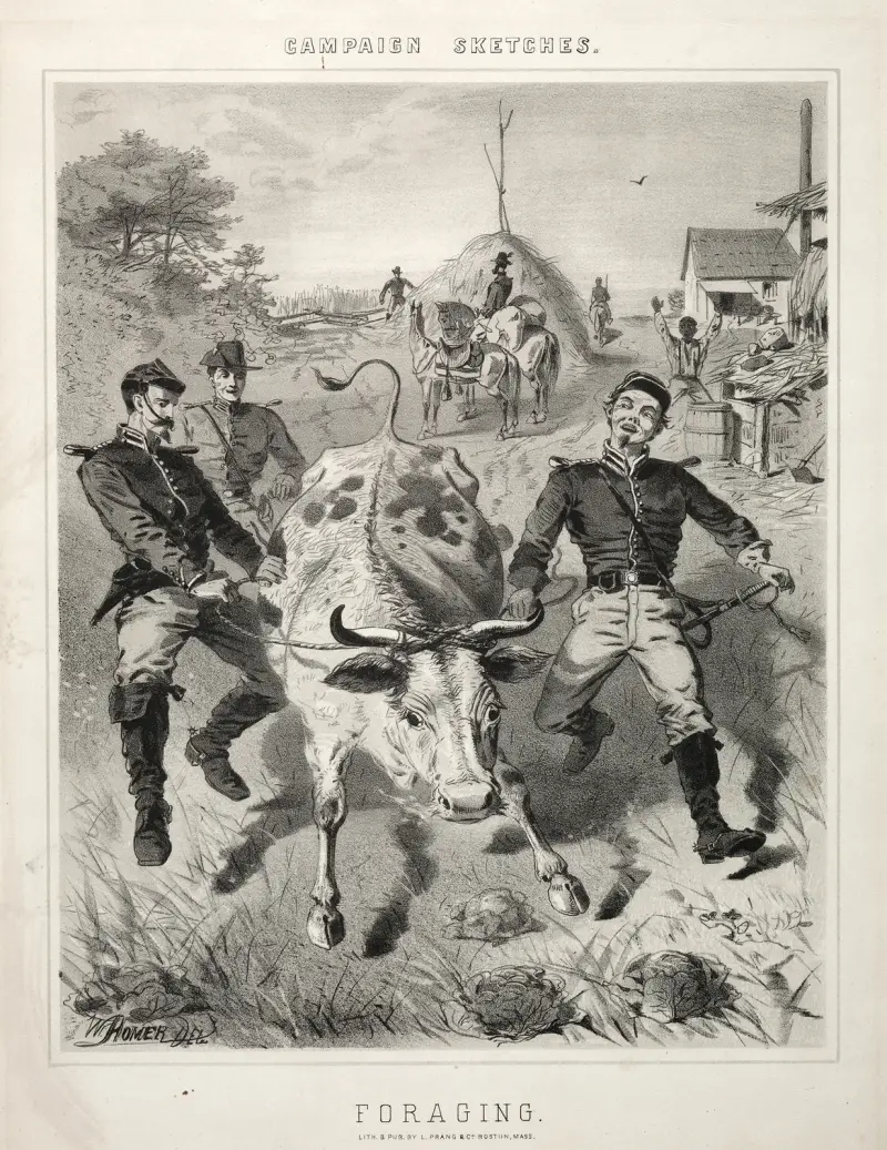 Campaign Sketches; Foraging av Winslow Homer
