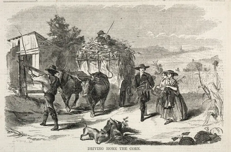 Heimfahrt mit dem Mais von Winslow Homer