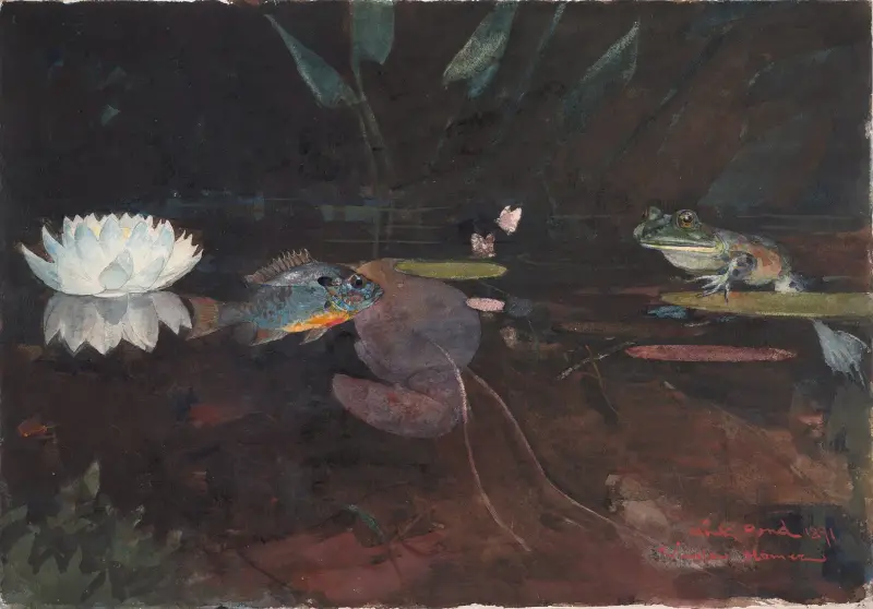 Staw z norkami, Winslow Homer