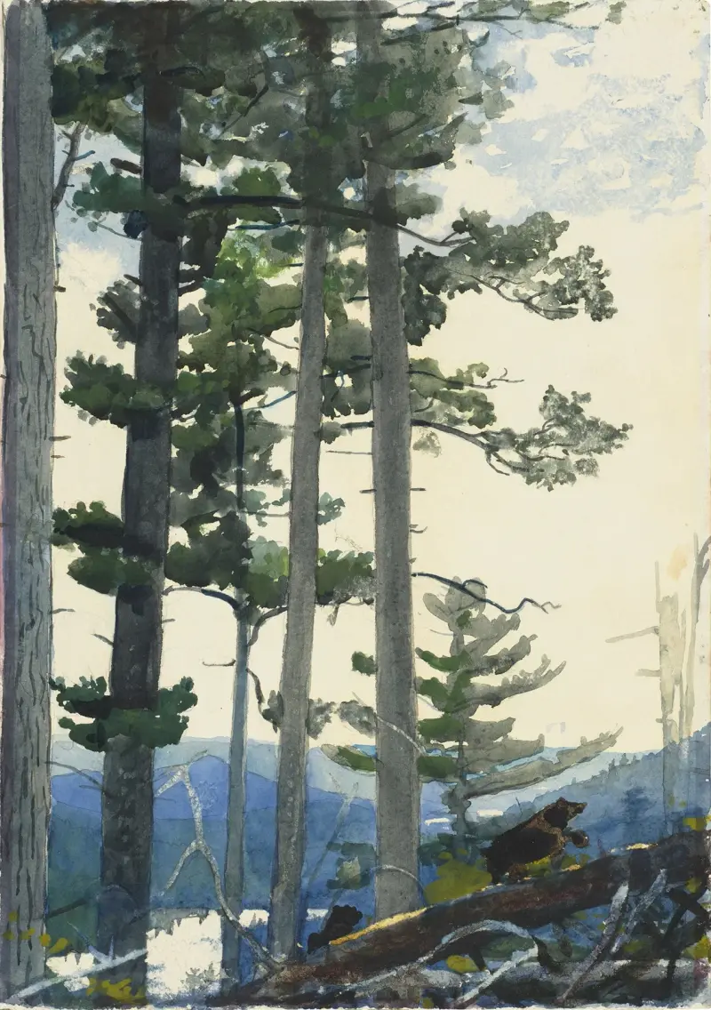 Starzy osadnicy, Winslow Homer