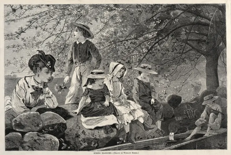 Spring Blossoms av Winslow Homer