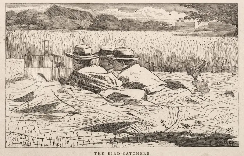 Die Vogelfänger von Winslow Homer