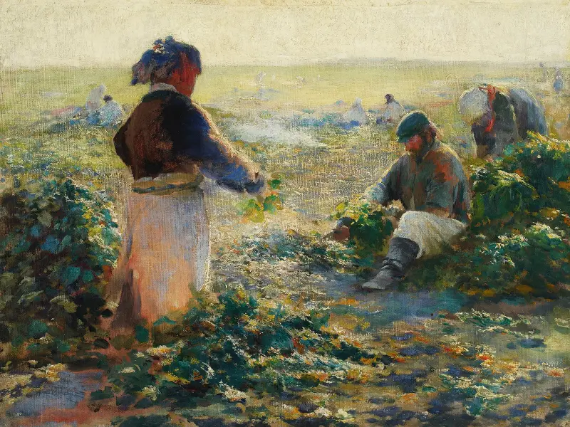 Rübenernte I von Leon Wyczółkowski
