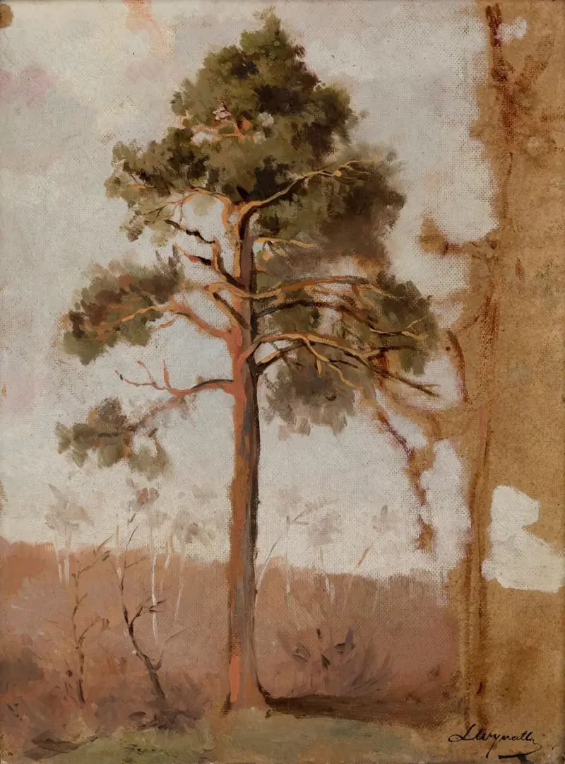 Kiefern bei Połąga von Leon Wyczółkowski