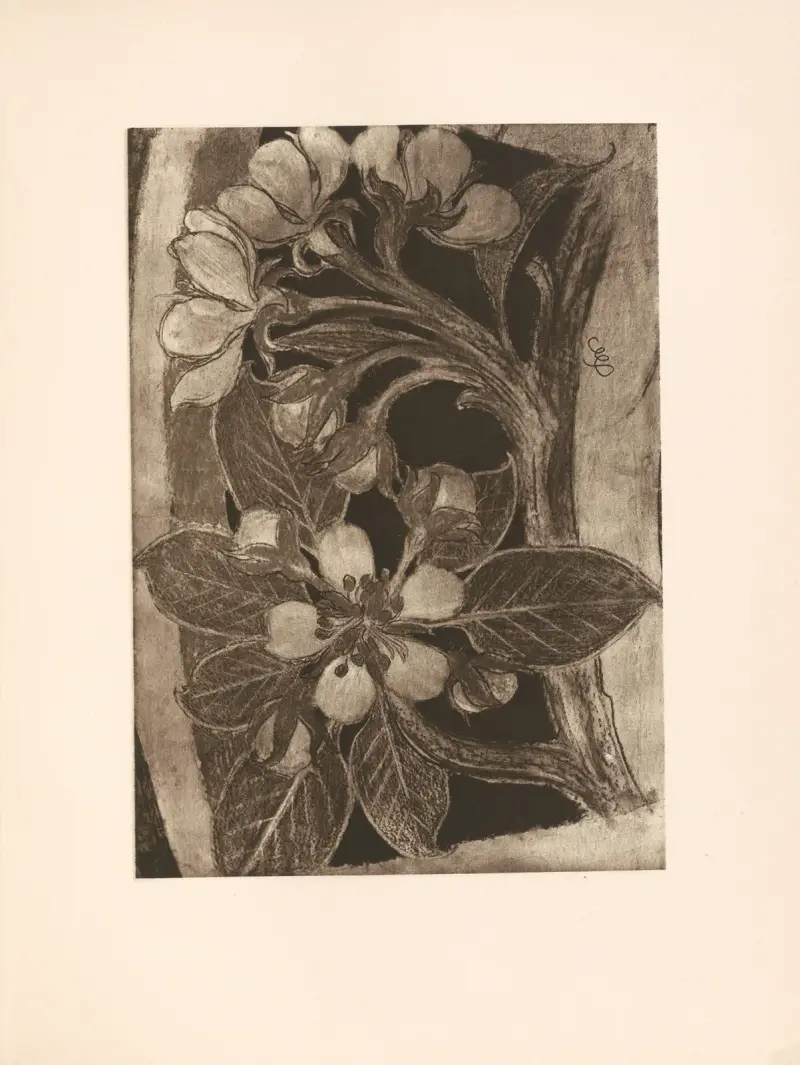 Apfelblüten (dekoratives Motiv) von Stanisław Wyspiański